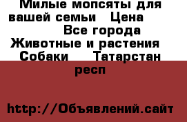 Милые мопсяты для вашей семьи › Цена ­ 20 000 - Все города Животные и растения » Собаки   . Татарстан респ.